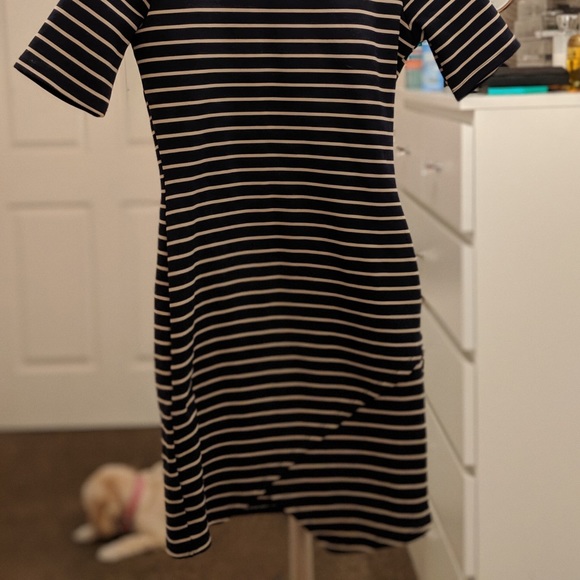 Iris Striped Fitted Dress - Picture 2 of 2